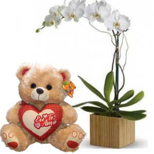 ORQUIDEA BRANCA+URSO 30cm "EU TE AMO"