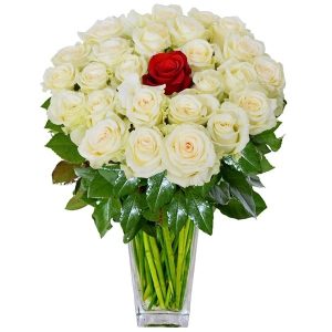 Arranjo no Vaso G com 23 Rosas Brancas e 1 Vermelha