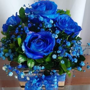 Arranjo no Cachepot com 5 Rosas Azuis